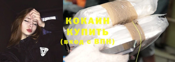 прущие крисы Няндома