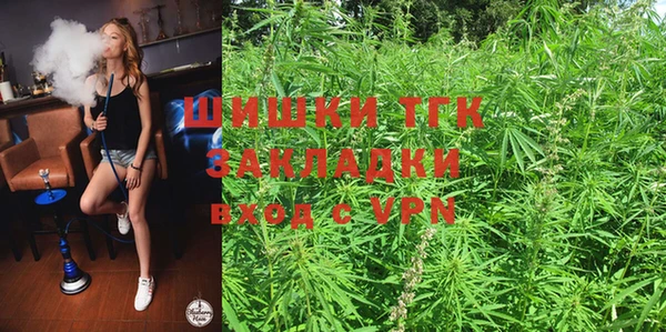 не бодяженный Новозыбков