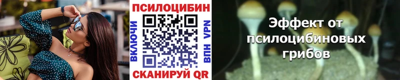 как найти закладки Буйнакск Псилоцибиновые грибы GOLDEN TEACHER