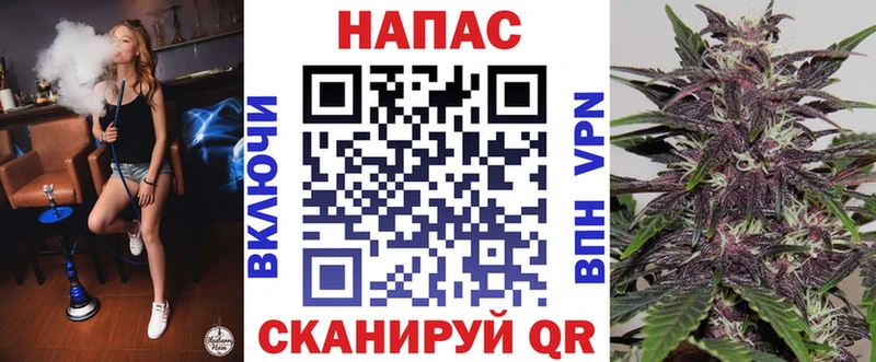 где продают наркотики  Буйнакск  Бошки марихуана THC 21% 